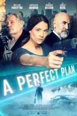 Poster Film A Perfect Plan (2020)